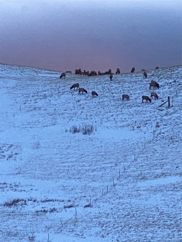 86 Pony Lane, Livingston, MT 59047