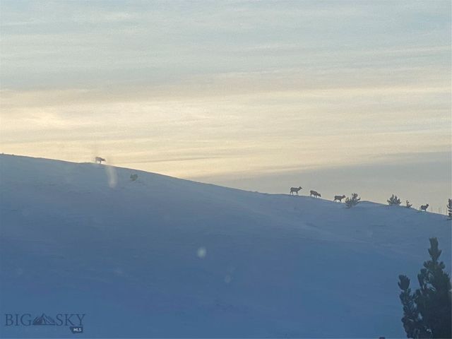 86 Pony Lane, Livingston, MT 59047