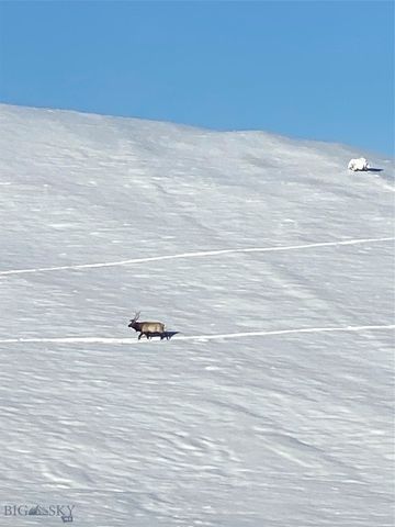 86 Pony Lane, Livingston, MT 59047