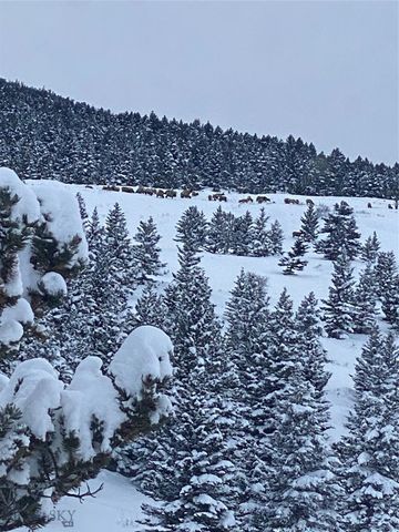 86 Pony Lane, Livingston, MT 59047