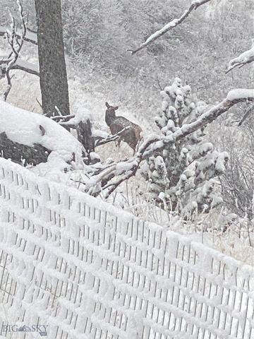 86 Pony Lane, Livingston, MT 59047