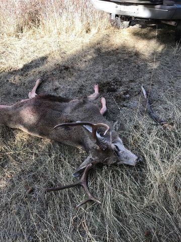 86 Pony Lane, Livingston, MT 59047