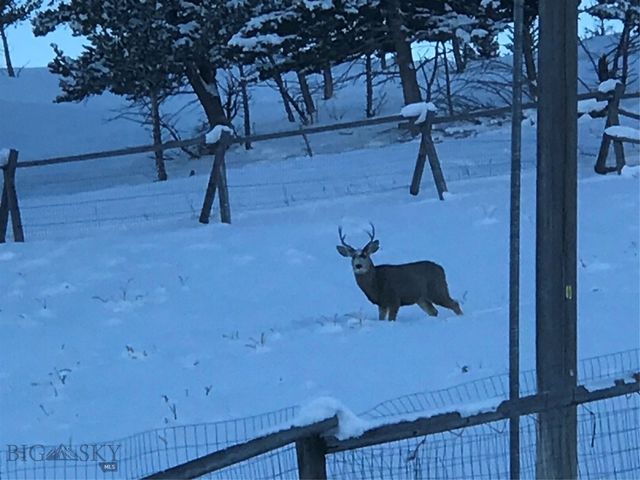 86 Pony Lane, Livingston, MT 59047