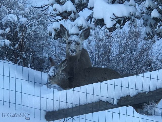 86 Pony Lane, Livingston, MT 59047
