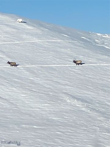 86 Pony Lane, Livingston, MT 59047