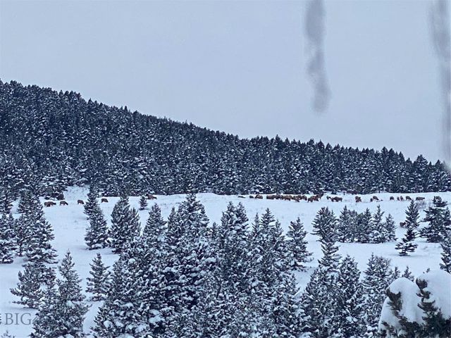 86 Pony Lane, Livingston, MT 59047