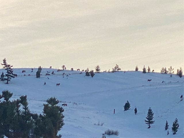 86 Pony Lane, Livingston, MT 59047