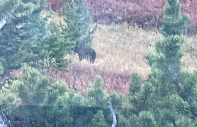 86 Pony Lane, Livingston, MT 59047