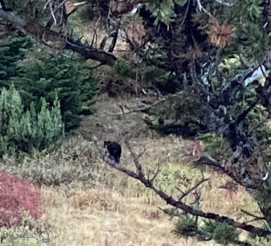 86 Pony Lane, Livingston, MT 59047