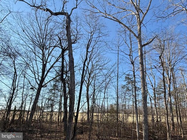 206 SAYLERS CREEK RD, Locust Grove, VA 22508