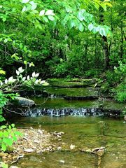 811 Borum Rd, Ashland City, TN 37015