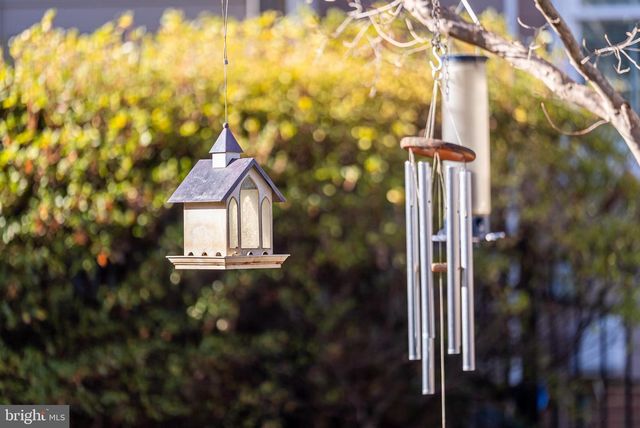 5 CHINN LN, Middleburg, VA 20117