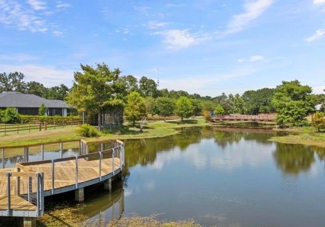 8527 Woods Hollow Trail, Fulshear, TX 77406