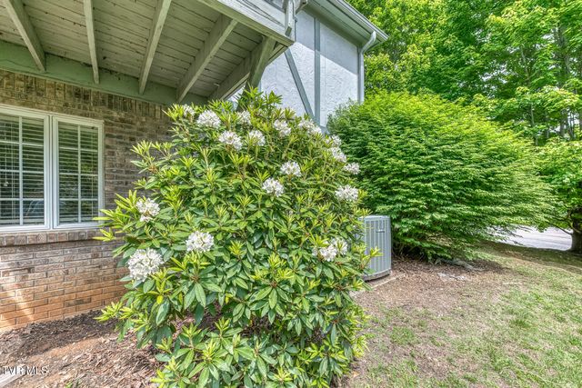 30 Kilmainhom Circle, Bristol, TN 37620