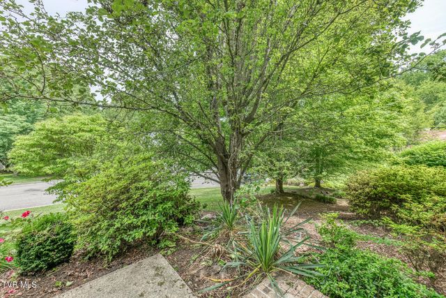 30 Kilmainhom Circle, Bristol, TN 37620