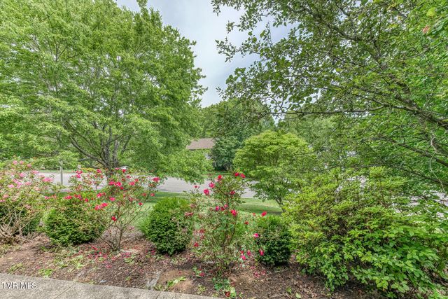 30 Kilmainhom Circle, Bristol, TN 37620