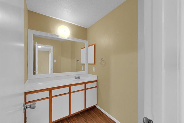 1119 Mossy Branch Street, Houston, TX 77073