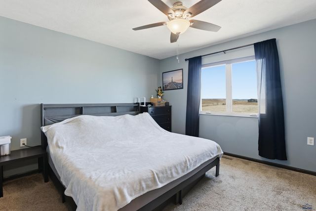 14682 SADDLEHORN CT, Piedmont, SD 57769