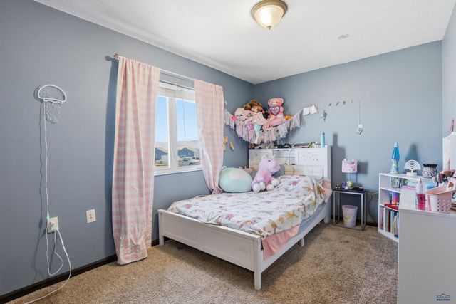 14682 SADDLEHORN CT, Piedmont, SD 57769