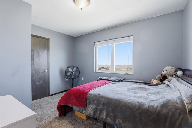 14682 SADDLEHORN CT, Piedmont, SD 57769