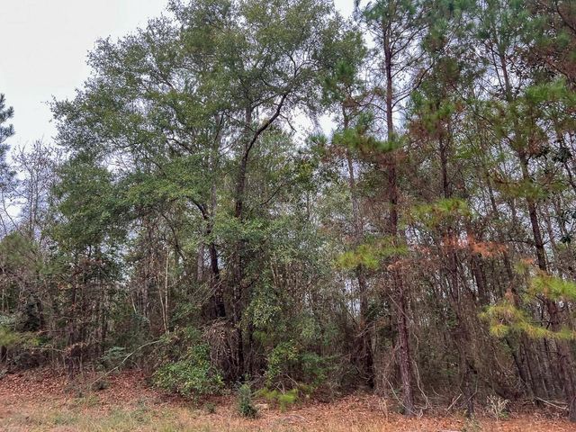 T-4 Highway 190, Newton, TX 75966