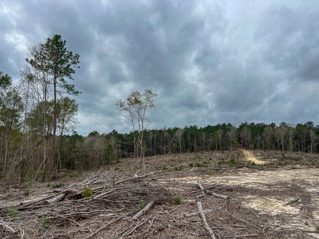 T-4 Highway 190, Newton, TX 75966