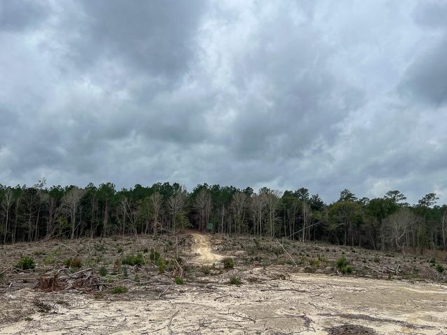 T-4 Highway 190, Newton, TX 75966