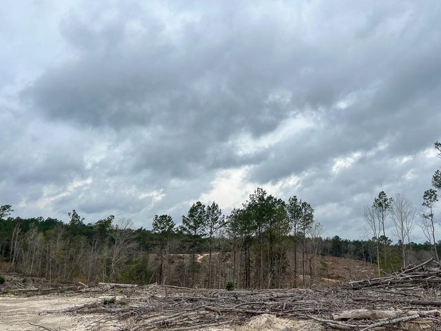 T-4 Highway 190, Newton, TX 75966