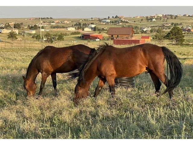 12835 Forest Green Dr, Elbert, CO 80106