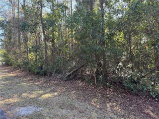 Lot 42 Eagle Neck Drive NE, Townsend, GA 31331