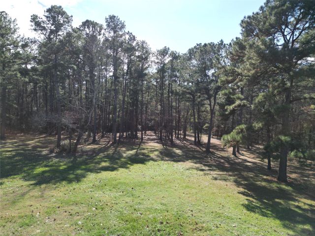 4542 Evergreen Forest Lane, Navasota, TX 77868