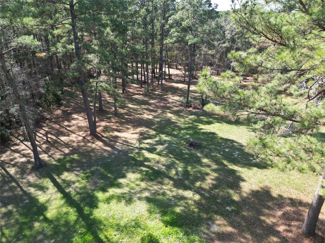 4542 Evergreen Forest Lane, Navasota, TX 77868