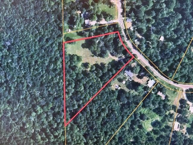 4542 Evergreen Forest Lane, Navasota, TX 77868