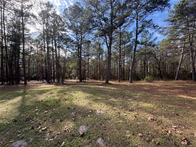 4542 Evergreen Forest Lane, Navasota, TX 77868