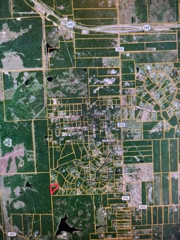 4542 Evergreen Forest Lane, Navasota, TX 77868