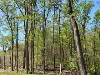 0 Lysandra Way, Knoxville, TN 37922