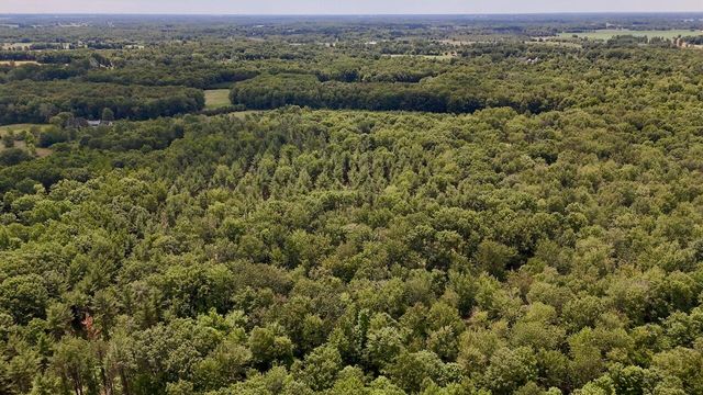 10041 Birch Drive, Riverdale, MI 48877
