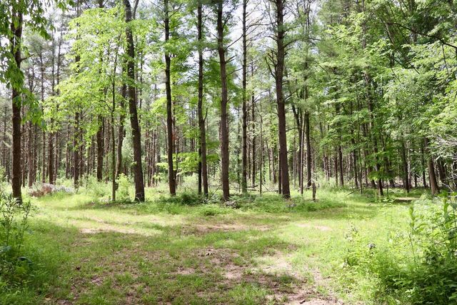 10041 Birch Drive, Riverdale, MI 48877
