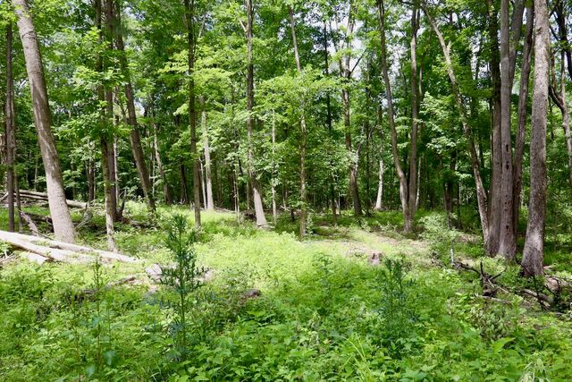 10041 Birch Drive, Riverdale, MI 48877
