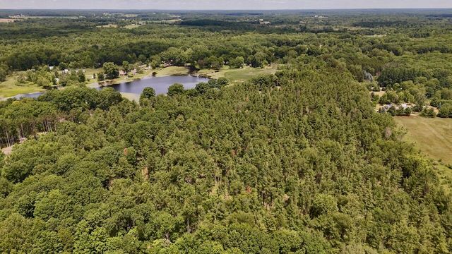 10041 Birch Drive, Riverdale, MI 48877