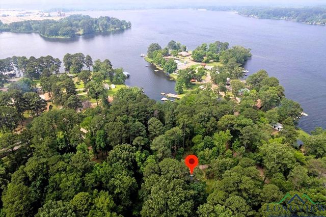 299 Southshore Drive, Lone Star, TX 75668