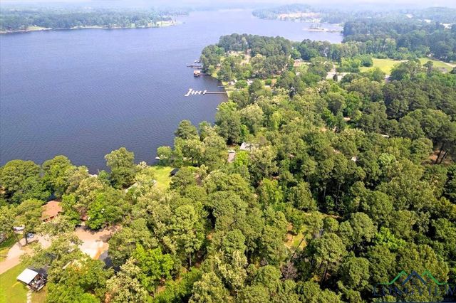 299 Southshore Drive, Lone Star, TX 75668