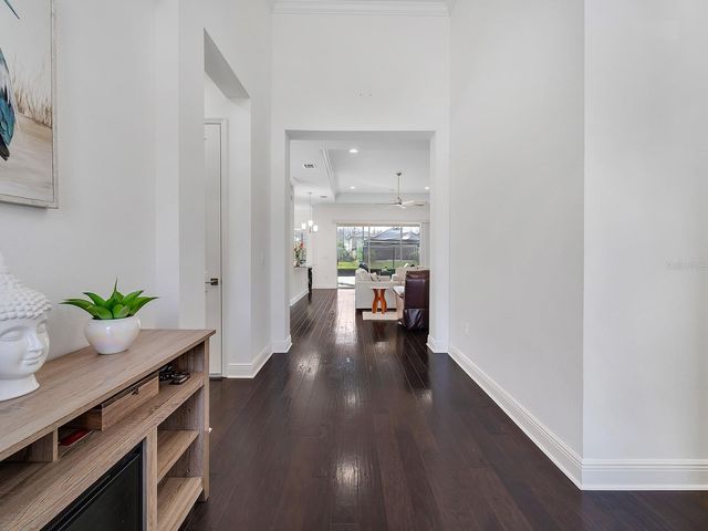 31176 CHESAPEAKE BAY DRIVE, Wesley Chapel, FL 33543