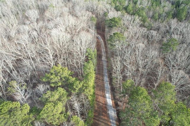 9150 W Banks Mill Road, Winston, GA 30187