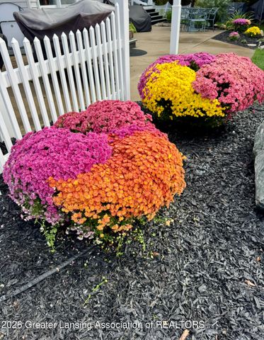 8573 W Lakeshore Drive, Perry, MI 48872