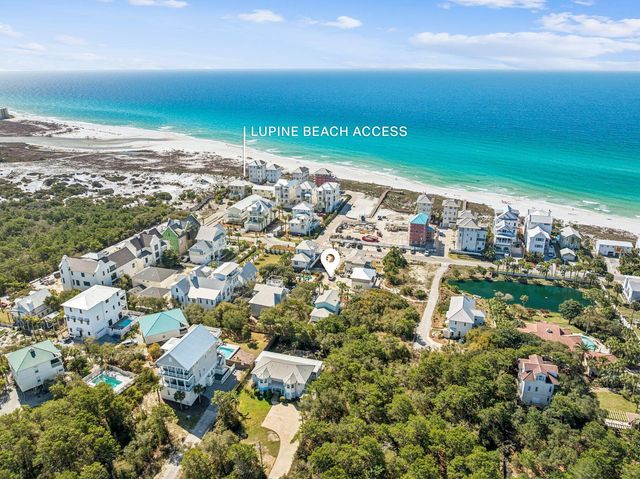 167 Walton Magnolia Lane, Inlet Beach, FL 32461