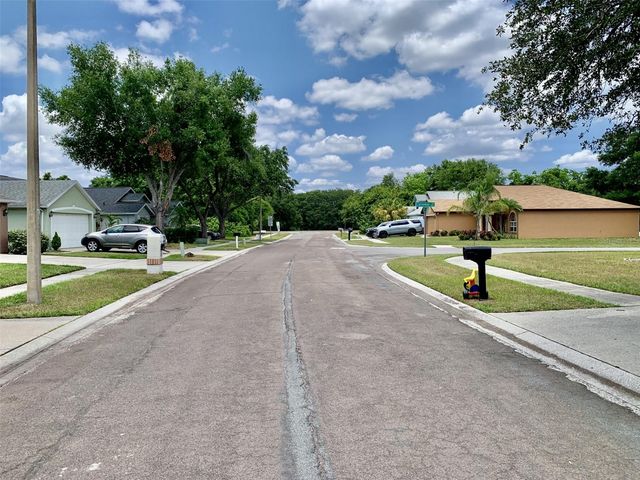 2015 WRANGLER DRIVE, Brandon, FL 33511