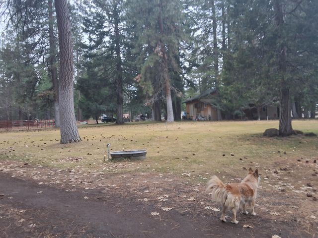 15922 Green Springs Highway, Ashland, OR 97520