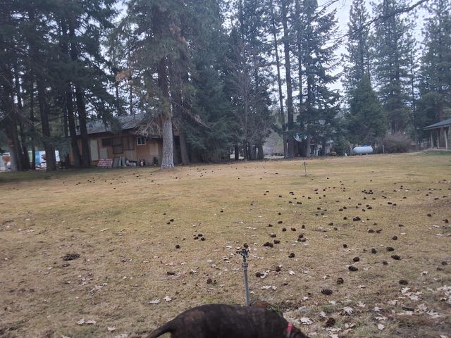 15922 Green Springs Highway, Ashland, OR 97520