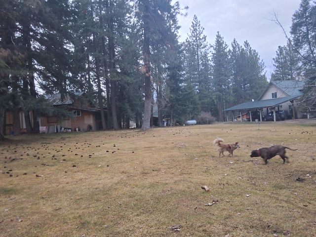 15922 Green Springs Highway, Ashland, OR 97520